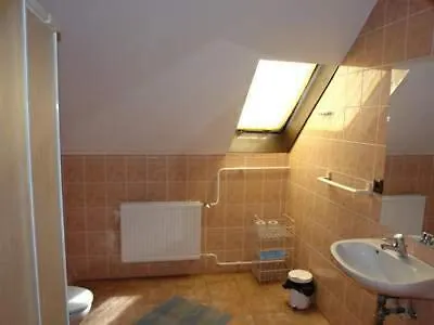 Aranyoroszlan Vendeghaz Homestay *