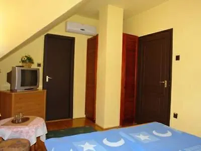Aranyoroszlan Vendeghaz Homestay Hajduszoboszlo