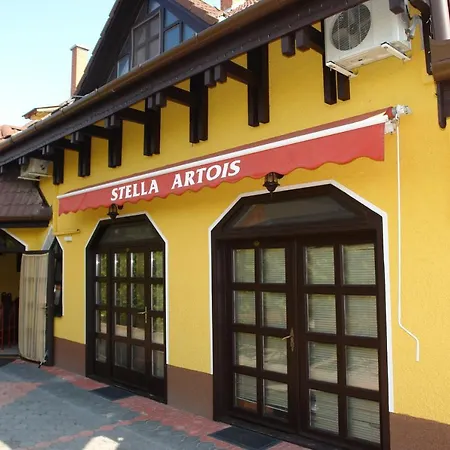 Aranyoroszlan Vendeghaz Homestay *